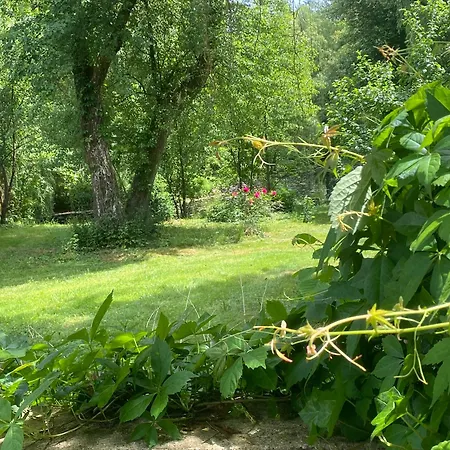 Am Schloss Holiday home *